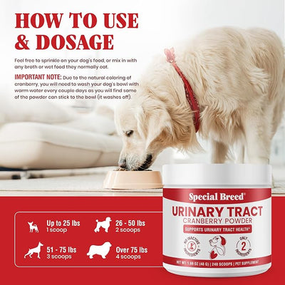 UTI & Urinary Tract Treatment for Dogs – Cranberry Powder for Bladder and Kidney Health – Helps Frequent Urination and Incontinence – Natural Dog UTI Support Supplement – Made in USA