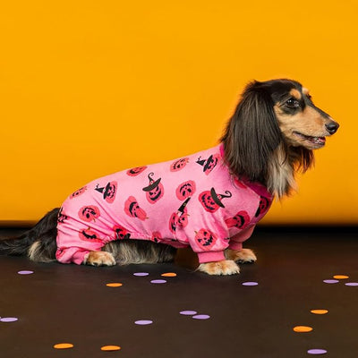 Fitwarm Halloween Jack O Lantern Dog Pajamas, Funny Costumes for Small Dogs Girl, Pet Outfit, Pink, Black, Medium