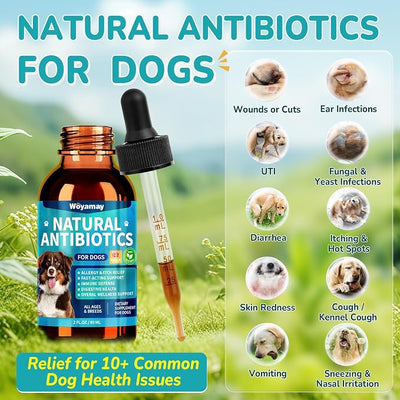 Woyamay Antibiotics for Dogs | Natural Dog Antibiotics for Allergy Relief, Itch Relief, Coughs, Skin Health, Breath Treatment, Digestion | Herbal Supplement to Care for Ears, Eyes & Coat, 4 Fl Oz