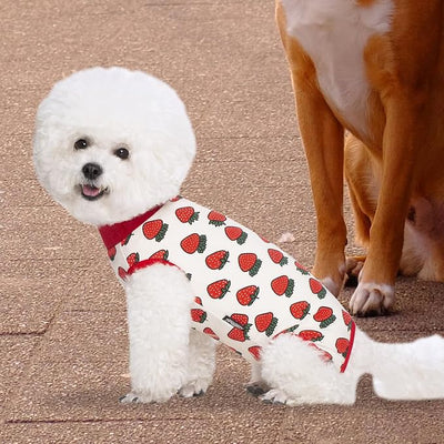 2 Packs Pet Dog Recovery Onesie Suit for Dogs Cats After Surgery,Dog Abdominal Wounds Bandages Cone E-Collar Alternative. (Pink, XL)