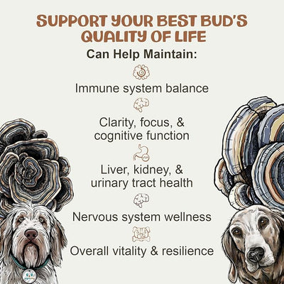 MycoDog Turkey Tail Mushroom for Dogs - Immune & Gut Health Support - Turkey Tail Supplement for Dogs - Daily Wellness Drops