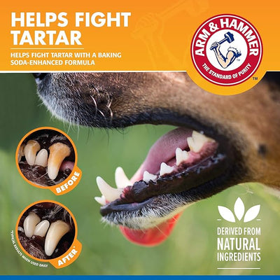 Arm & Hammer Tartar Control Dental Spray for Dogs Mint Flavor Breath Freshener Brushless Teeth Cleaning Oral Care with Baking Soda Helps Reduce Plaque and Tartar Buildup 4 FL OZ Single Bottle Supply