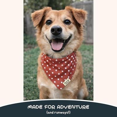Snap-On Dog Bandana for Small Medium Large Pets, Dogs Cats Adjustable Handkerchief Scarf for Girl & Boy, Funny Cute Puppy Apparel & Accessories (Red Polka Dots, Small)