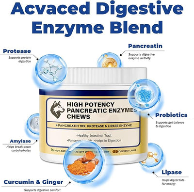 Pancreatic Enzymes for Dogs – 10X Pancreatin Digestive Enzyme Powder – Dog EPI Supplement for Pancreas Support – Helps Restore Weight, Improve Digestion & Relieve GI Stress 120 pieces – Vet Formulated