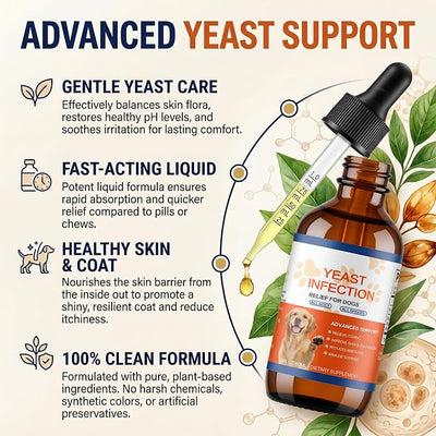Natural Yeast Infection Treatment for Dogs - Bacon Flavor Yeast Relief Drops for Itchy Ears, Skin, Paws & Allergies - Supports Gut & Immune Health, Reduces Irritation - 60ml