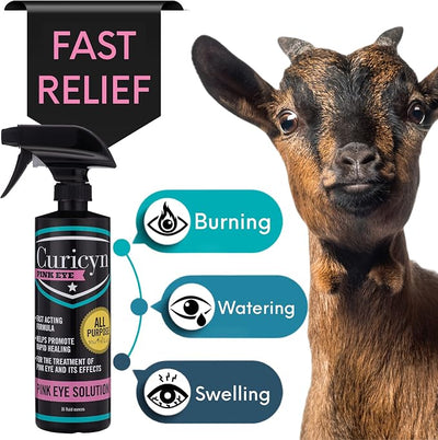 Curicyn Pink Eye Solution - 16oz, Extra Strength Formula Conjunctivitis Eye Drops for Dogs, Cats, Livestock and Horses – Pain Free, Non-Steroidal Dog Eye Wash with Purified Anolyte -