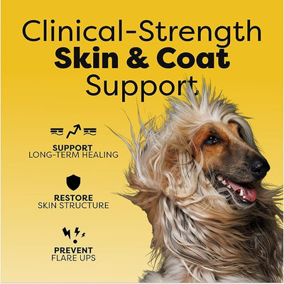 Medical-Strength Hair Skin & Nails Dog Supplement | Vitamin A, Niacinamide and EPA Omega 3 for Dogs | Super Nutrients to Boost Skin Health, Prevent Irritation & Promote Stronger Nails | 90 Chews