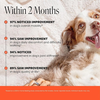 Hip + Joint Supplement for Dogs with Glucosamine Chondroitin - MSM, Turmeric & Collagen Soft Chews - Joint Function, Stiffness, and Mobility Support, May Reduce Occasional Discomfort (Bacon, 90 Ct)