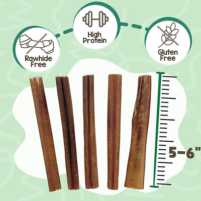 Nature Gnaws Large Bully Sticks for Dogs 5-6" (10 Count) - Thick Long Lasting for Aggressive Chewers and Large Dogs - Natural Beef Dog Chew Bones