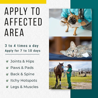 Real Time Pain Relief Pet Formula - 4oz Spray Bottle | Vet Recommended Relief for Pets | 16 Natural Ingredients Including Menthol, Aloe Vera, and Arnica | Gentle Cooling Sensation | Easy Application