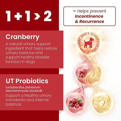 Pawpulse Formula Cranberry for Dogs, Urinary Tract Support for UTI Health, Bladder Stones, Incontinence, Urine Flow, Probiotics for Gut & Immune, 90 Chews