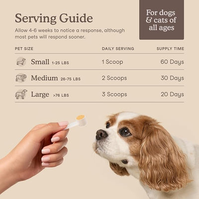 Fera Pets Cat & Dog Liver Supplement Powder with Milk Thistle - 60 Scoops