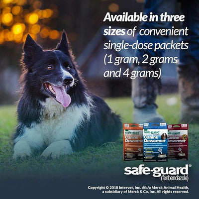 SAFE-GUARD (fenbendazole) Canine Dewormer for Dogs, 2gm pouch (ea. pouch treats 20lbs.), Blue, 0.07 Ounce (Pack of 3) (033576/001-033576)