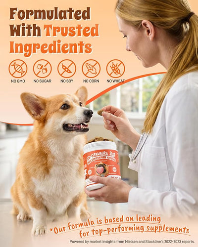 24-in-1 Multivitamin Dog Supplement, 300 Soft Chews – Glucosamine & Chondroitin for Joint Support, Probiotics for Gut Health, Omega Fish Oil for Skin & Coat, Daily Dog Vitamins