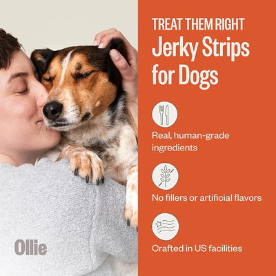 Ollie Chicken and Apple Jerky Dog Treats, 5 oz Pack of 1, All Natural, Healthy Snacks, Made with Real Meat, Human Grade, for Dogs