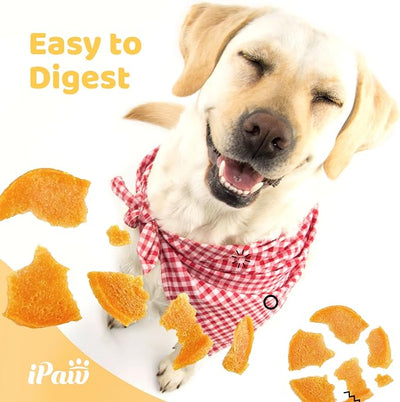 iPaw 2 Saver Combo Chicken Chips Dog Treats for Puppy Training, SQF Certified Human Grade Dog Treat, Hypoallergenic, Easy to Digest (Chicken Chips), 2 Packs