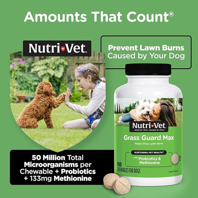 Nutri-Vet Grass Guard Chewables, Dog Urine Neutralizer for Grass, Lawn Burn Prevention, Gut Health Support with Probiotic and Enzymes, Dog Probiotics, Pet Supplement Tablets, 150 Count