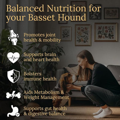 Basset Hound Multivitamins, 90 Count, Made in the USA with Real Bacon.
