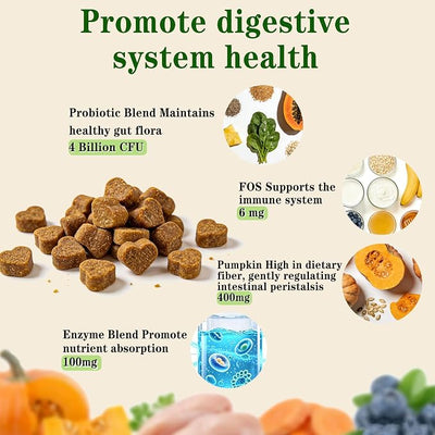 Probiotics for Dogs - Dog Probiotics for Digestive Health - 40 Billion CFU Dog Probiotic FOS Enzymes Pumpkin - Daily Gut Health for Sensitive Stomach Diarrhea Relief, Chicken Flavor, 12Ct