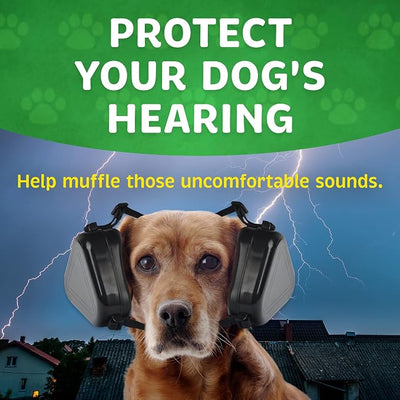 Evergreen Pet Supplies Earmuffs for Dogs - Medium/Large, Black, 2 Pack - Noise Protection & Fireworks Relief - Adjustable Noise Canceling Dog Headphones & Hunting Ear Covers