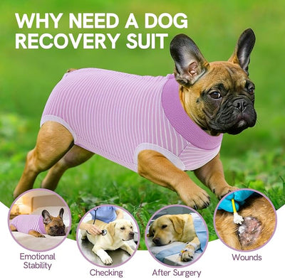 SAWMONG Recovery Suit for Dogs Female Male, Cotton Breathable Dog Onesie After Surgery Spay Neuter, Professional Dog Surgical Suit, Substitute Pet E-Collar Cone, Purple, X-Small