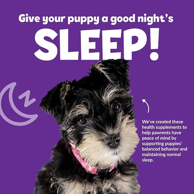 Snuggle Puppy Night Calm Puppy Bites with Melatonin, Chamomile & Ashwagandha - Calming Treats for Dogs - Melatonin for Dogs to Support Restfulness & Sleep - 60 Soft Chew Dog Treats