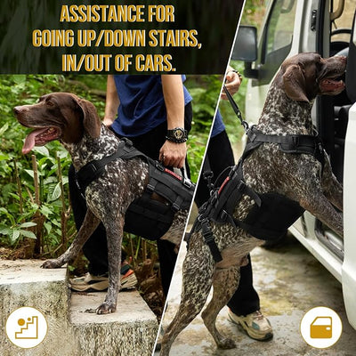 OneTigris Dog Lift Harness for Large Dogs, Dog Hip Support Brace, Full Body Lifter with Handles Invictus Multifunctional Mobility Assistance Vest for Back Legs (Black, Small)