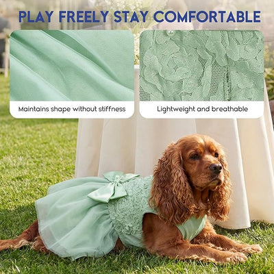 ASENKU Small Dog Dress Pet Wedding Dress Princess Lace Puppy Birthday Party Outfit Formal Apparel Girl for Only Small Medium Dogs Cats (2XL, Green)