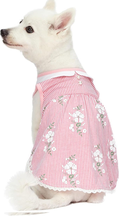 Blueberry Pet Wonderland Floral Sleeveless Dog Dress in Pink Stripe with Peter Pan Collar, Back Length 14", Pack of 1 Clothes for Dogs
