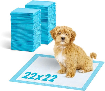 IRIS USA Puppy Pads 100 Count, Dog Training Pads 22"x22", Super Absorbent Leakproof Pee Pads for Dogs, Quick Dry Disposable Potty Training Supplies