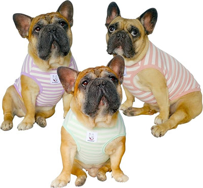 iChoue 3pcs French Bulldog Striped Shirts 100% Breathable Cotton Tank Tops Vests Clothes for Frenchie Dogs, Pink Purple Green Stripes, Medium