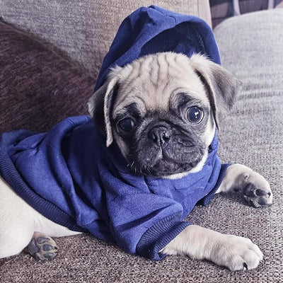 Jecikelon Soft Dog Hoodies for Small Dogs, Fleece Puppy Sweatshirt with Pockets, Warm Winter Cold Weather Coats for Pet Cat, Cute Clothes Puppy Costume (Navy, Small)