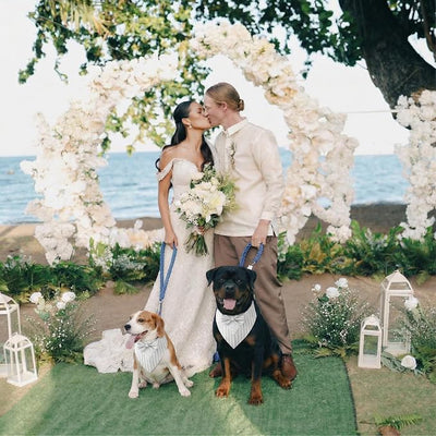 Dog Tuxedo, Adjustable Formal Wedding Outfit Bandana Dog Tux Collar with Bow Tie, Pet Birthday Valentines Outfit Cosplay(Small)