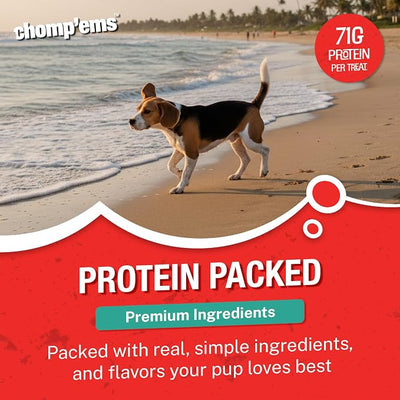 Chomp’ems Premium Beefhide Chew for Dogs, 1 Chew