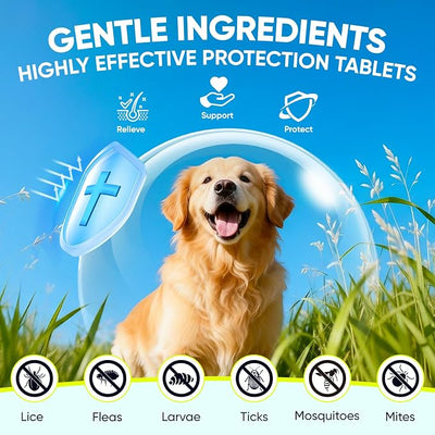 Dog Flea and Tick Treatment Chewable Natural Flea Prevention and Immune Support Natural Soft Chew Flea and Tick Treatment 50 Soft Chews Per Bottle 4 Packs (200 Tablets Total) Suitable for All Dog