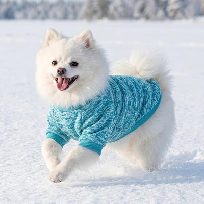 1 Pack Dog Sweaters for Small Dogs Girl Boy Winter Fleece Clothes Warm Soft Dog Sweatshirt Outfit for Dogs Cats Pet Apparel