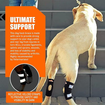 NeoAlly - Short Rear Leg Hock Brace, Dog Leg Brace for Rear Leg, Hock & Ankle Support, Dog Brace for Torn ACL & CCL, Dog Leg Sleeve with Reflective Straps, Large, Black, 1 Pair