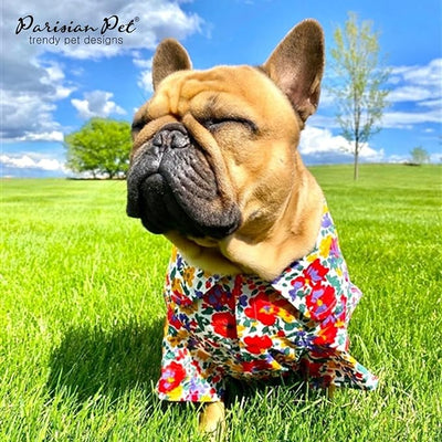 Parisian Pet Floral Dog Shirt - Cotton Clothes for Large Dogs - Stylish Dog Beach Outfit - Lightweight and Soft Puppy Clothes - Trendy Camp Tshirts for Dogs - Comfortable Summer Vacation Pet Apparel
