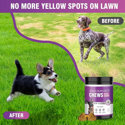 Grass Burn Spot Chews for Dogs Dog Pee Grass Neutralizer 200 Green Grass Dog Chews Urine Lawn Spot Protector Urinary Tract Support Dog Bladder Support Cranberry, Apple Cider Vinegar, DL-Methionine