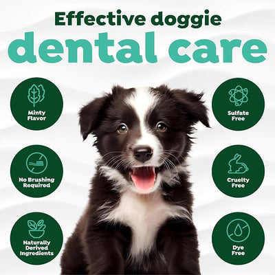 TropiClean Fresh Breath Dog Toothpaste for Teeth Cleaning, Breath Freshener, Easy to Use Plaque & Tartar Remover Gel, No Toothbrush Needed, 2oz.