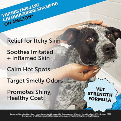 Chlorhexidine Shampoo + Allergy Support Soft Chew Virtual Bundle - All-Natural Dog Vitamins, Fish Oil for Dogs, Omega 3 for Dogs, Itch Relief, Shiny Dog Coat, Dog Shampoo for Allergies