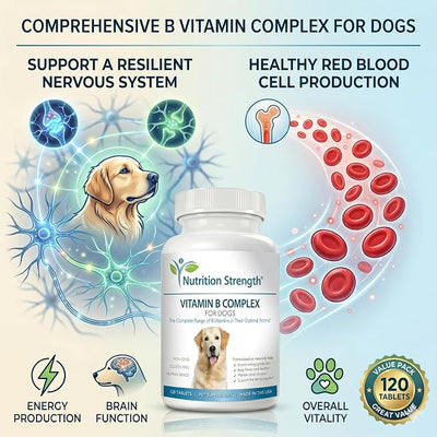Vitamin B for Dogs, Complete B Complex for Dogs, Promote Blood Cell & Nervous System Health, Help Sustain Cellular Energy Production & Maintain Brain Function, 120 Chewable Tablets