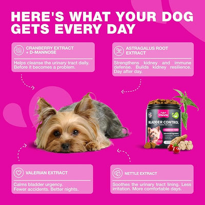 Dog UTI Treatment - Dog Cranberry Supplement for Bladder & Kidney Health, Urinary Tract, Incontinence Support - Cranberry Supplement for Dog Incontinence - Bladder Control Cranberry Chews