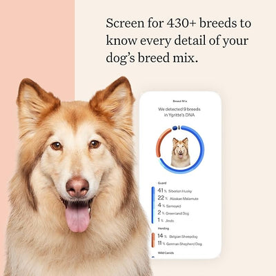 Wisdom Panel Premium Dog DNA Testing Kit - Most Comprehensive Test - 265+ Health Tests, 430+ Dog Breeds, 50+ Traits, Relatives, Ancestry, 2 Pack