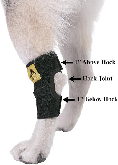 Agon® Dog Leg Braces For Back Leg wrap hock compression protects wounds and helps heal hind legs rear ankle joint, preventing injuries, sprains providing stability for dogs, canine arthritis (X-Large)