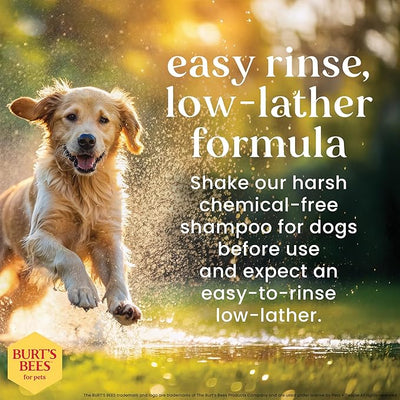 Burt's Bees for Pets Itch Soothing Shampoo with Honeysuckle, 95% Natural Origin, Dog Shampoo for Itchy Skin Relief, pH Balanced, Free of Sulfates and Parabens, 16 Fl Oz