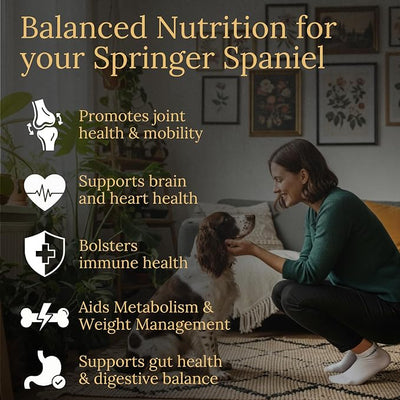 Springer Spaniel Multivitamins, 90 Count, Made in the USA with Real Bacon.