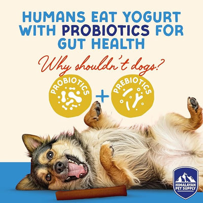 Himalayan Dog Chew Pumpkin Yogurt Sticks for Dogs | Protein-Rich Treats with Prebiotics & Probiotics | Lactose-Free, Grain-Free, Gluten-Free | Made in USA | Healthy Chews for All Breeds | 5 Count
