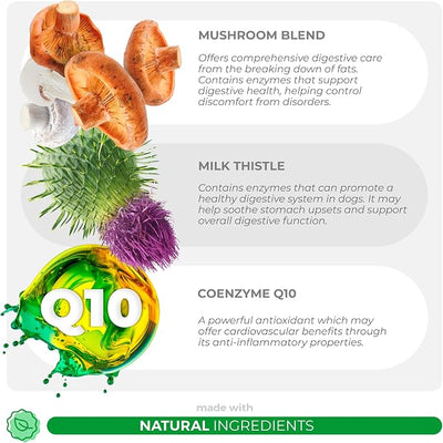 Turkey Tail Mushroom for Dogs Soft Chews - Lumps, Bumps & Immune | Mushroom blend with Selenium, Vitamins, Milk Thistle & CoQ10. Supports immune & cellular health in dogs.
