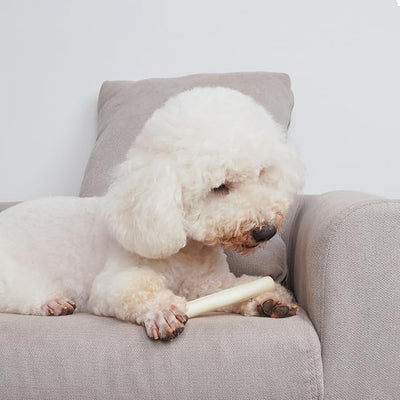 MON2SUN Dog Rawhide Rolls Twist Sticks Chew Treats Natural Flavor 6.5 Inch 40 Count for Puppy and Small Dogs (Pack of 2)